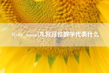 邳州九宫宫位数字代表什么