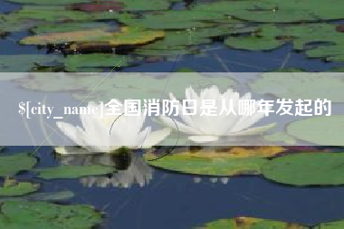 邳州全国消防日是从哪年发起的