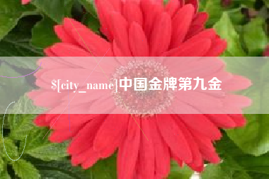 邳州中国金牌第九金