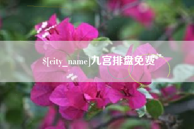 邳州九宫排盘免费