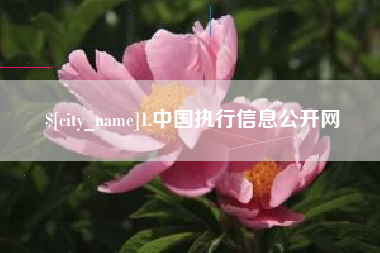邳州1.中国执行信息公开网