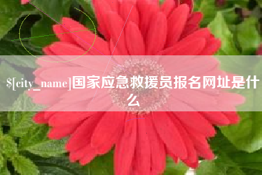 邳州国家应急救援员报名网址是什么