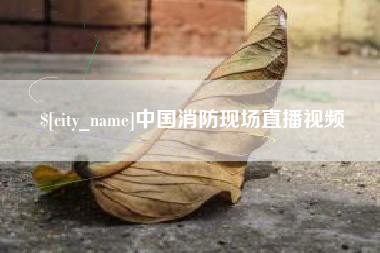 邳州中国消防现场直播视频