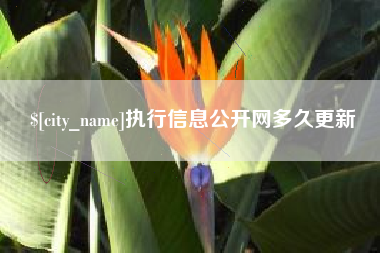 邳州执行信息公开网多久更新