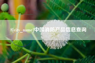 邳州中国消防产品信息查询