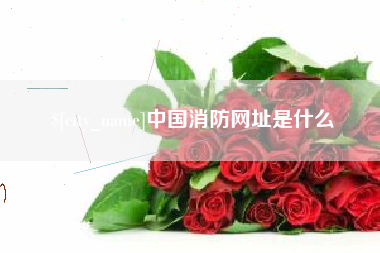 邳州中国消防网址是什么