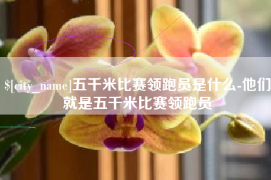 邳州五千米比赛领跑员是什么-他们就是五千米比赛领跑员