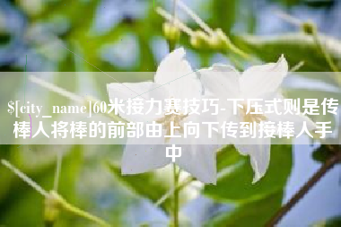 邳州60米接力赛技巧-下压式则是传棒人将棒的前部由上向下传到接棒人手中