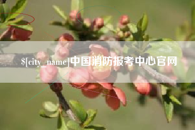 邳州中国消防报考中心官网