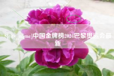 邳州中国金牌榜2024巴黎奥运会最新