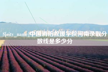邳州中国消防救援学院河南录取分数线是多少分