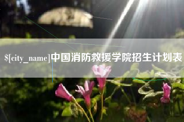 邳州中国消防救援学院招生计划表