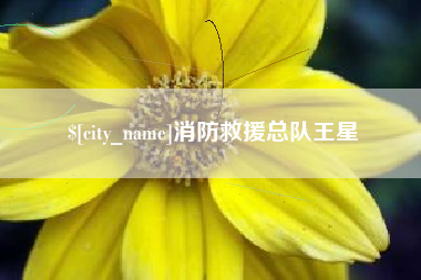 邳州消防救援总队王星