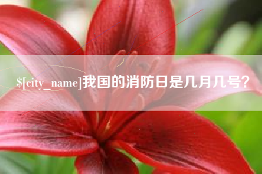 邳州我国的消防日是几月几号？
