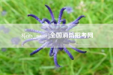 邳州全国消防招考网