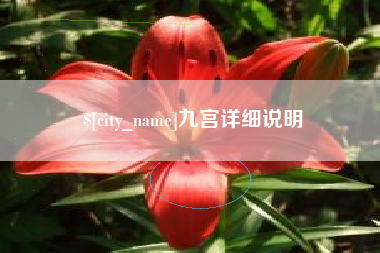 邳州九宫详细说明