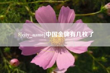 邳州中国金牌有几枚了