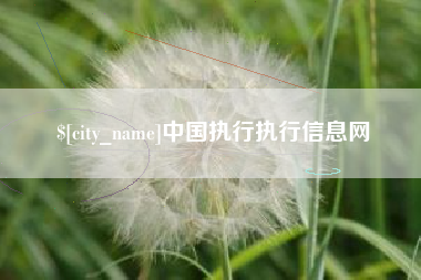 邳州中国执行执行信息网