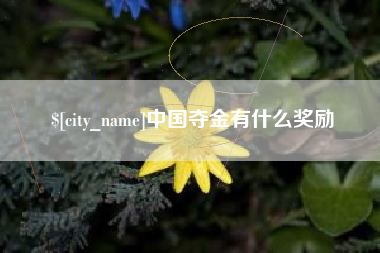 邳州中国夺金有什么奖励