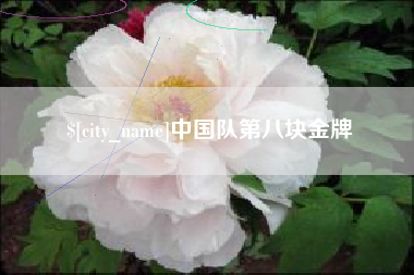 邳州中国队第八块金牌