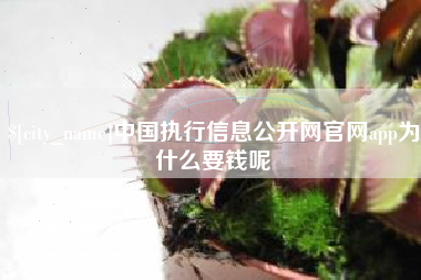邳州中国执行信息公开网官网app为什么要钱呢