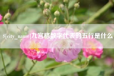 邳州九宫格数字代表的五行是什么