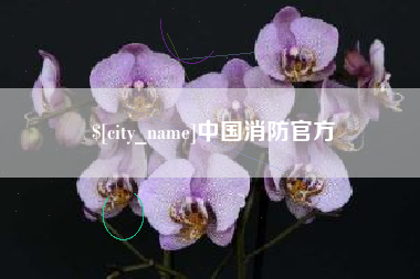 邳州中国消防官方