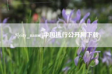 邳州中国执行公开网下载