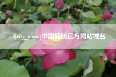 邳州中国消防官方网站域名