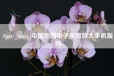 邳州中国地图电子版可放大手机版吗