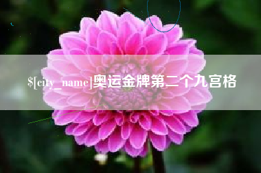 邳州奥运金牌第二个九宫格