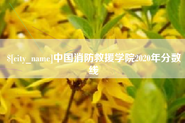 邳州中国消防救援学院2020年分数线