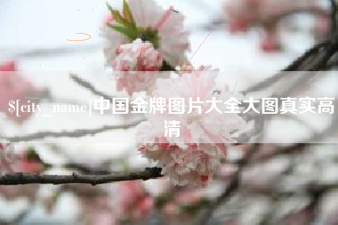 邳州中国金牌图片大全大图真实高清
