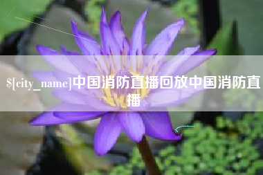 邳州中国消防直播回放中国消防直播