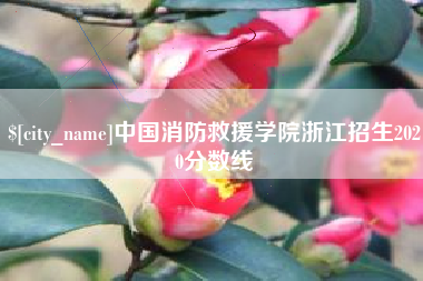 邳州中国消防救援学院浙江招生2020分数线