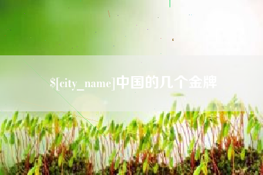 邳州中国的几个金牌