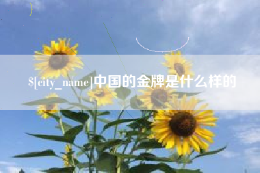 邳州中国的金牌是什么样的