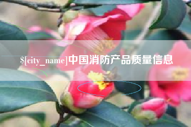 邳州中国消防产品质量信息