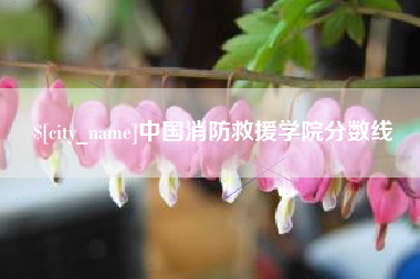 邳州中国消防救援学院分数线