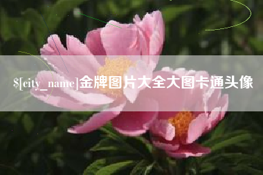 邳州金牌图片大全大图卡通头像