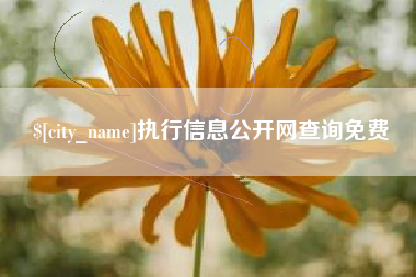 邳州执行信息公开网查询免费